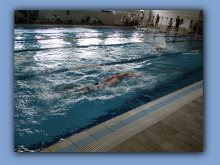 IMG_2847.jpg
