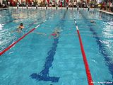 Image00019
