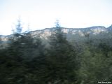 Image00007
