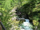 Image00038
