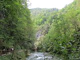 Image00047