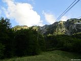Image00079
