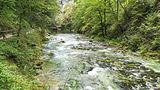 Image00095